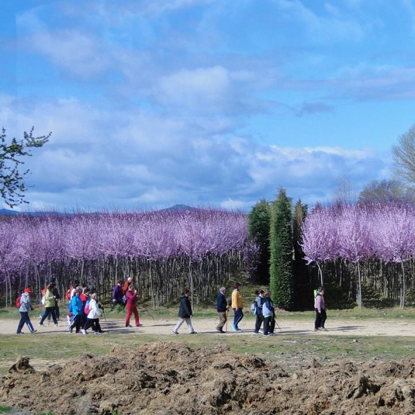 Peregrinos por un día (marzo 2014)