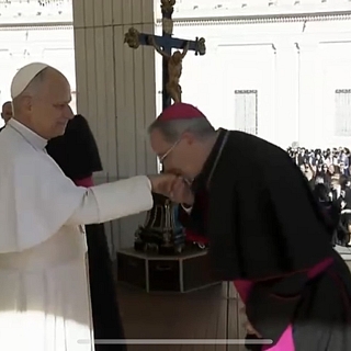Audiencia general y besamanos con el Santo Padre