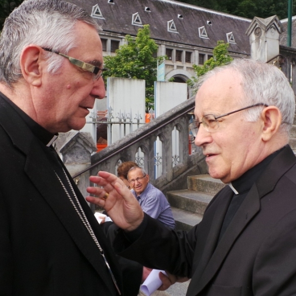 Peregrinación diocesana a Lourdes 2014