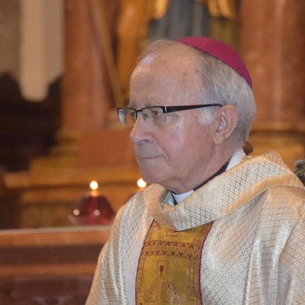 Misa del Día de Caridad en San Vicente