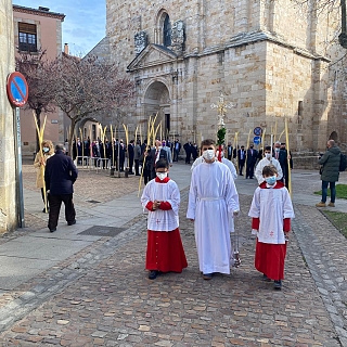 Bendición de palmas y misa pontifical en la catedral