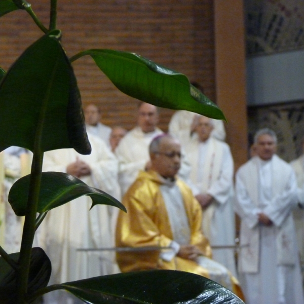 Clausura del Año de la Fe