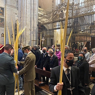 Bendición de palmas y misa pontifical en la catedral