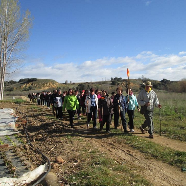 Peregrinos por un día (marzo 2014)