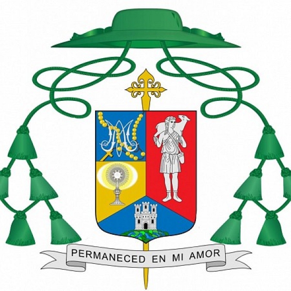 Decreto de erección de la Vicaría de Pastoral Samaritana