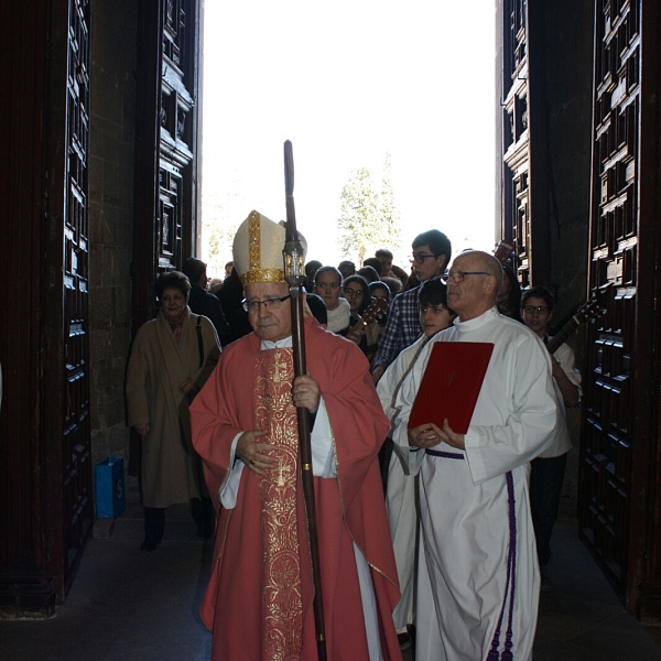 Peregrinación a la Catedral