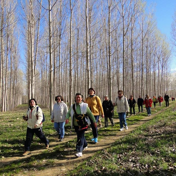 Peregrinos por un día (marzo 2014)