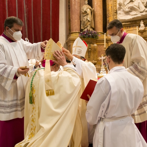 Ordenación y toma de posesión de don Fernando