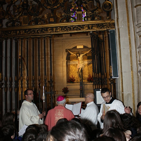 Peregrinación a la Catedral