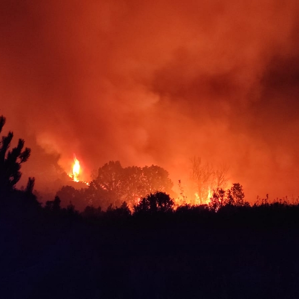 Eucaristía por las víctimas de los incendios en Zamora, 20:00 en la S.I. Catedral