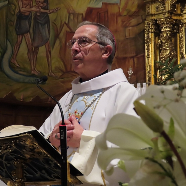 Homilía Ntra. Sra. de Lourdes