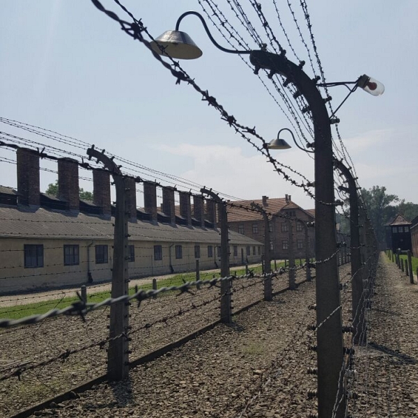 Visita a Auschwitz