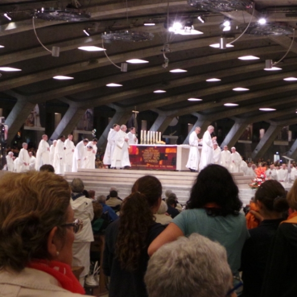 Peregrinación diocesana a Lourdes 2014