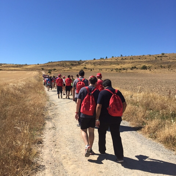 Actividades en Ávila