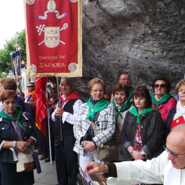 Peregrinación diocesana a Lourdes 2014