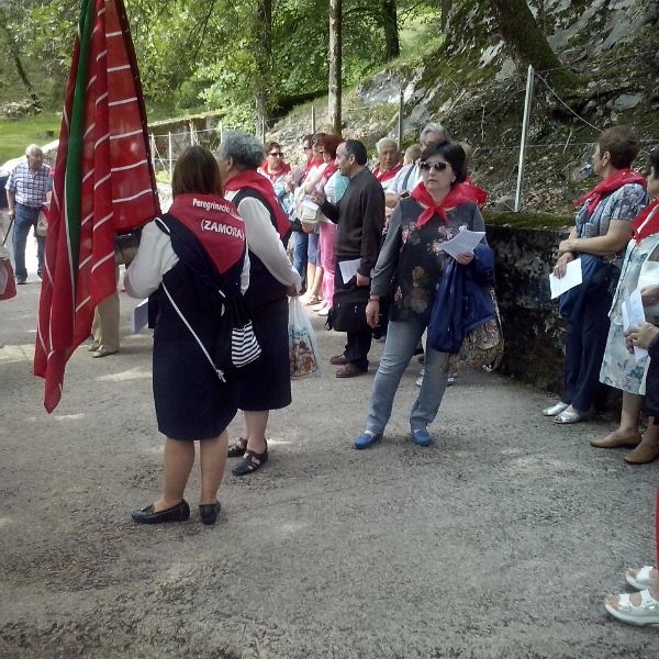 Peregrinación diocesana a Lourdes 2014