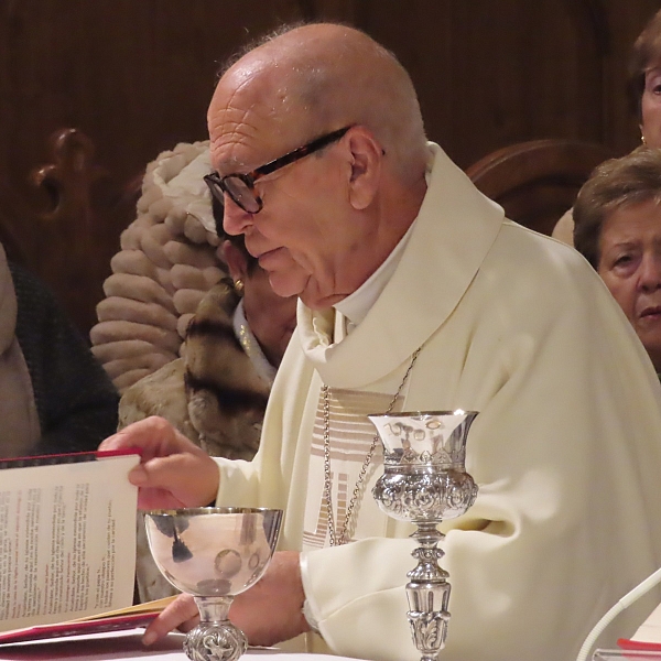La Diócesis de Zamora honra a Ntra. Señora de Lourdes en el Dia Mundial del Enfermo
