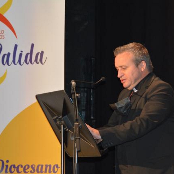 Congreso Diocesano de Laicos (6 noviembre)