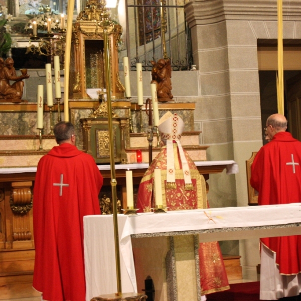 Bendición de palmas