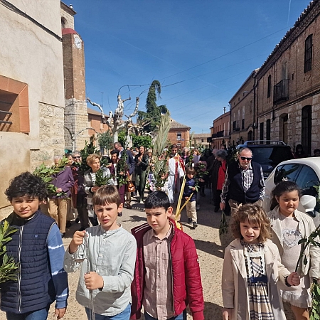 Domingo de Ramos 2024. Zamora y provincia