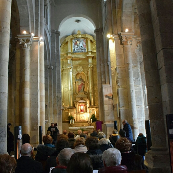 Zamora: Cáritas Diocesana