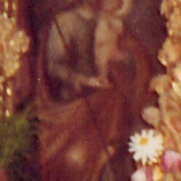 Lienzo de San José de Malva