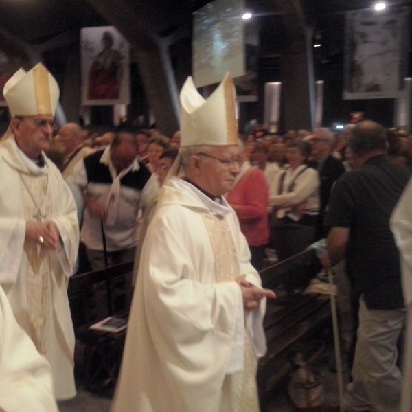 Peregrinación diocesana a Lourdes 2014