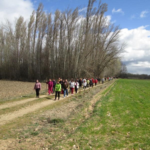 Peregrinos por un día (marzo 2014)