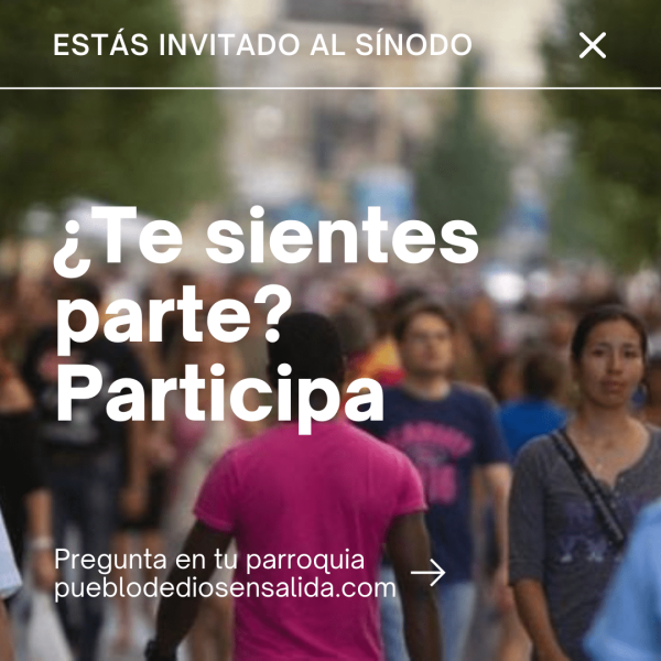 Conclusiones de la fase diocesana del Sínodo