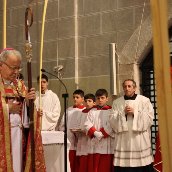 Bendición de palmas