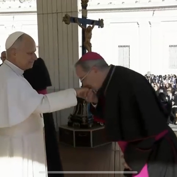 Audiencia general y besamanos con el Santo Padre
