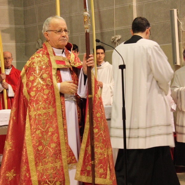 Bendición de palmas