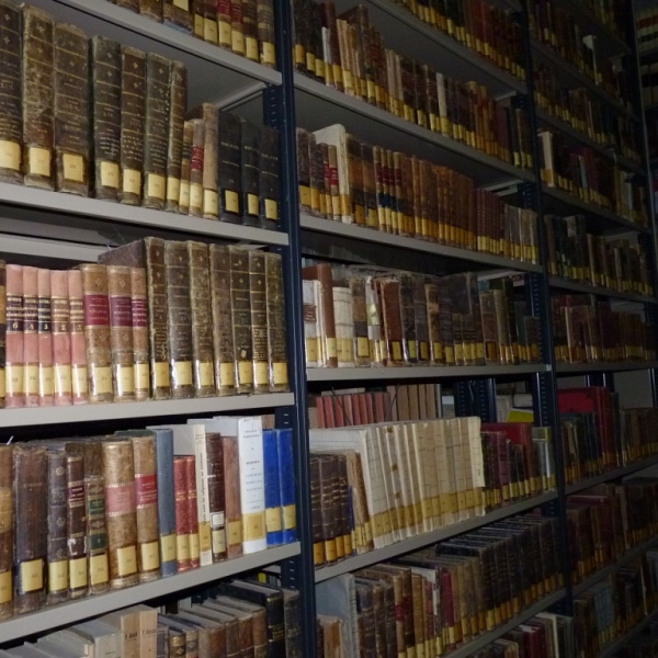 Fondos del Archivo