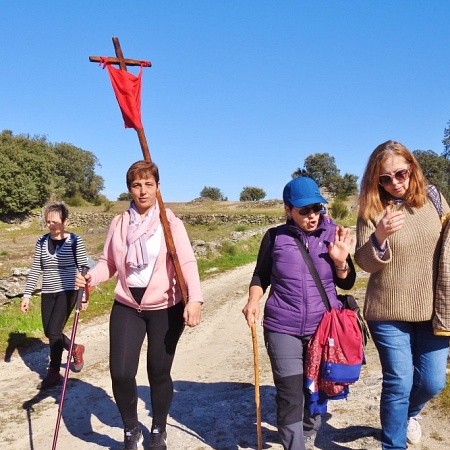 Año Santo Compostelano y la diócesis de Zamora