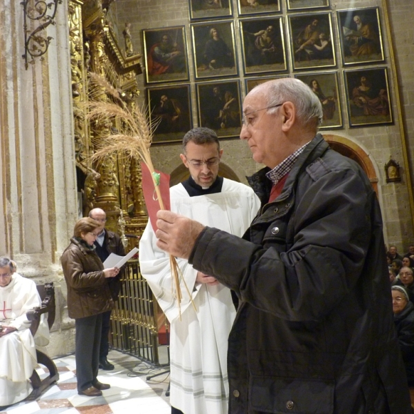 Jubileo y Clausura del Año de la Vida Consagrada