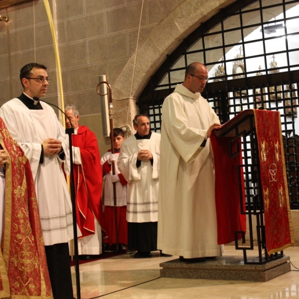 Bendición de palmas