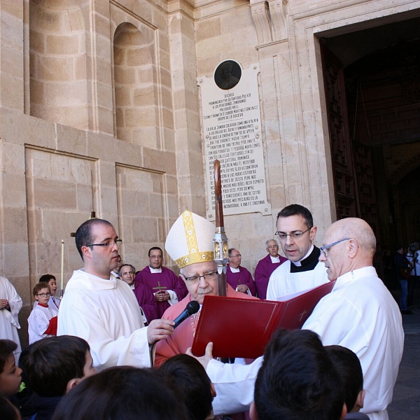 Peregrinación a la Catedral