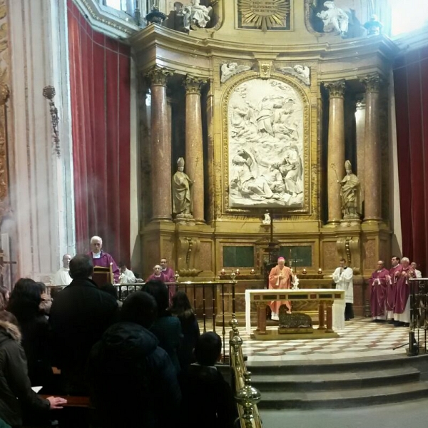 Peregrinación a la Catedral