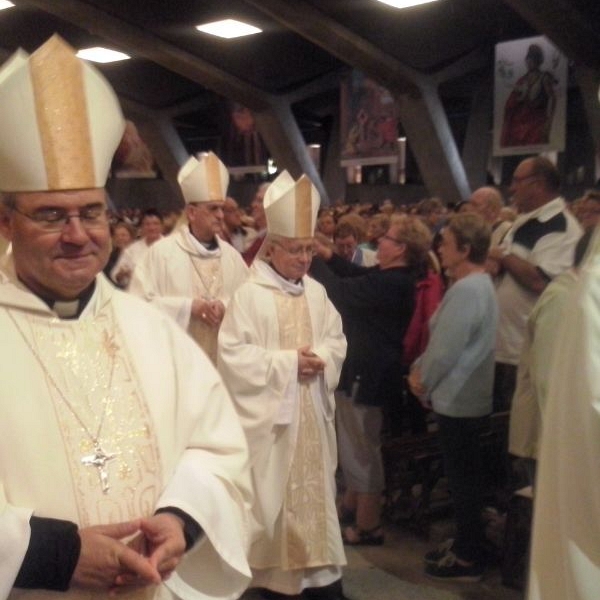 Peregrinación diocesana a Lourdes 2014