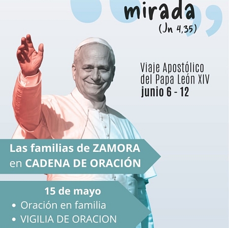 Zamora se prepara para la visita del Papa León XIV a España