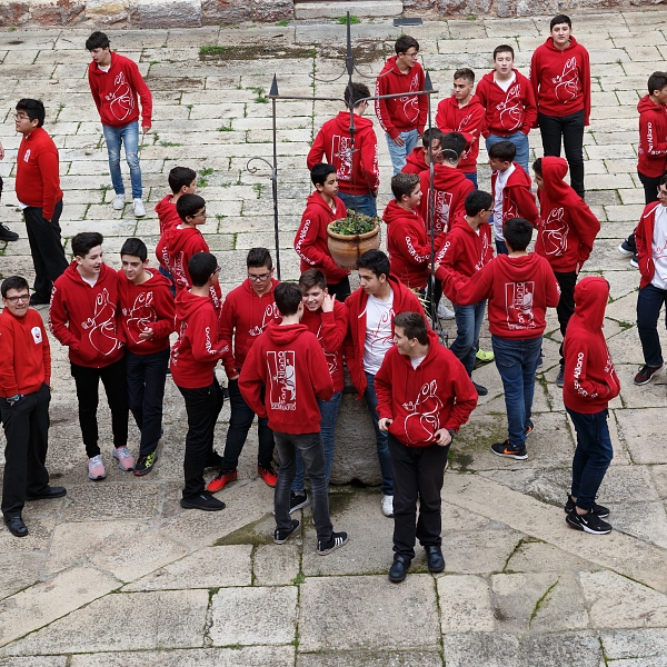 El Seminario ofrecerá a sus alumnos matricularse en el Colegio Medalla Milagrosa