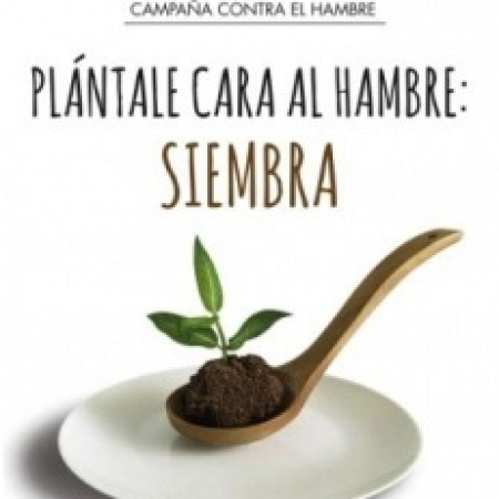 Plántale cara al hambre:?siembra