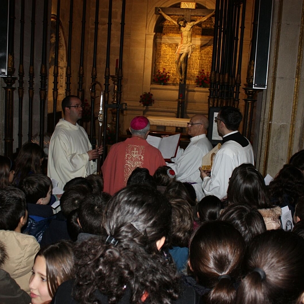 Peregrinación a la Catedral