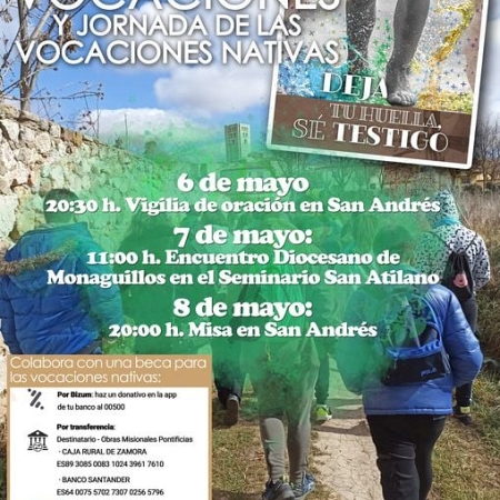 Jornada por las vocaciones y vocaciones nativas
