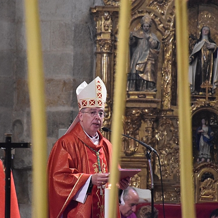 Homilía Obispo Domingo de Ramos 2026