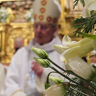 La Diócesis de Zamora honra a Ntra. Señora de Lourdes en el Dia Mundial del Enfermo