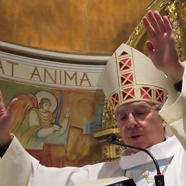 La Diócesis de Zamora honra a Ntra. Señora de Lourdes en el Dia Mundial del Enfermo