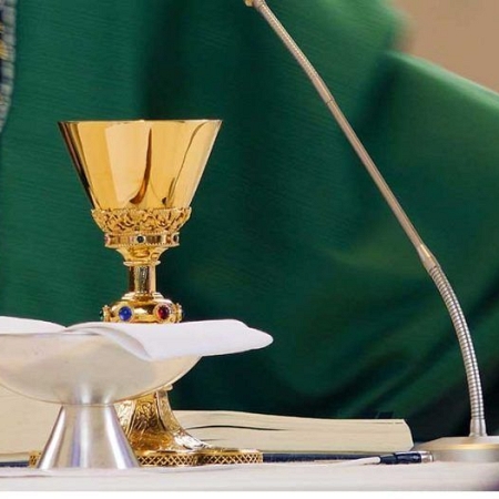 Liturgia para todos, online