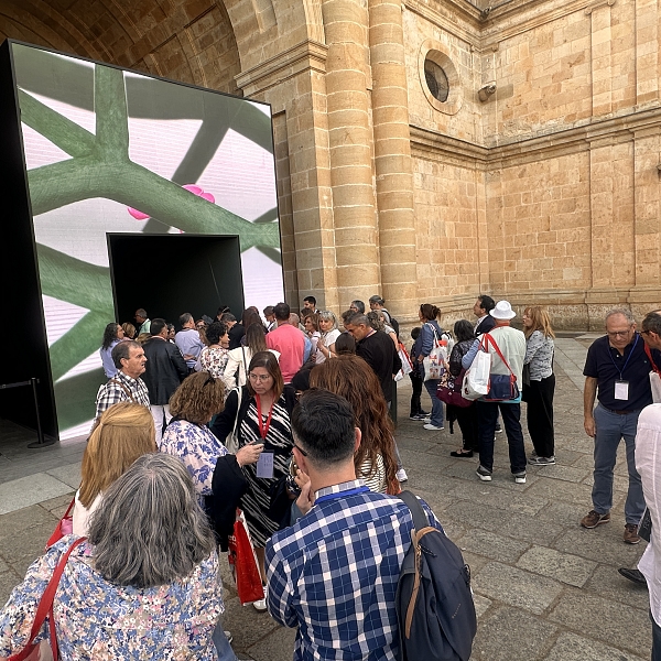 VII Congreso de profesores de religión