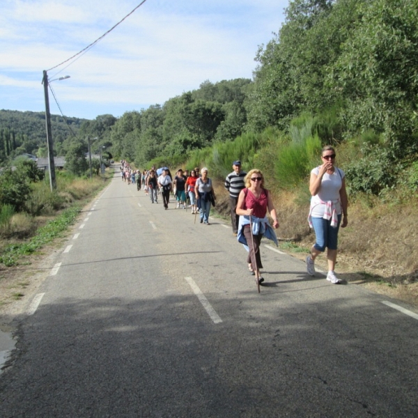 Px1D: El Puente - La Alcobilla